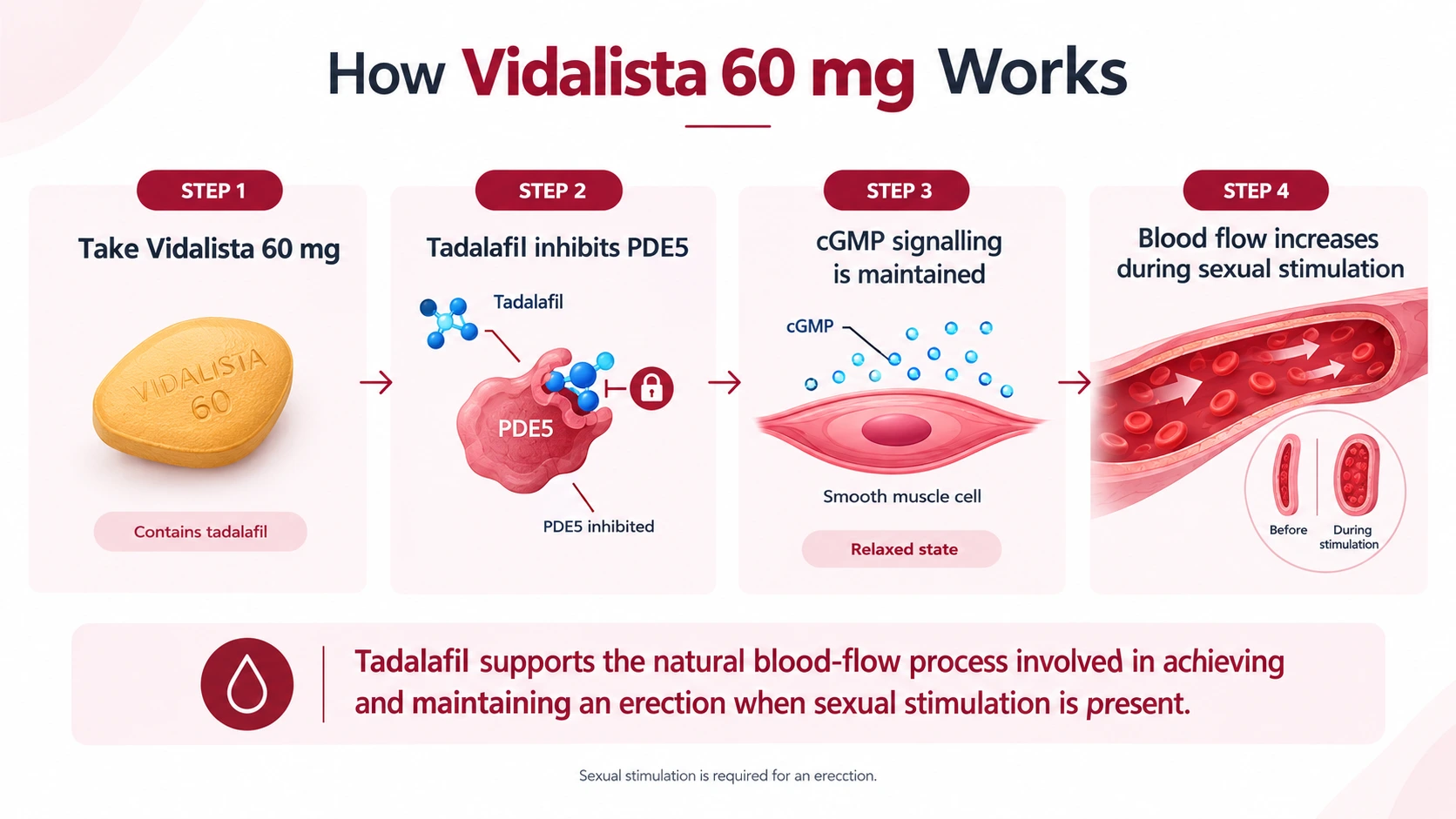 How Vidalista 60 mg Works