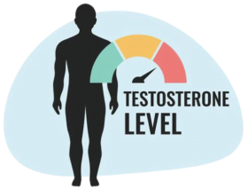 Testosterone Levels