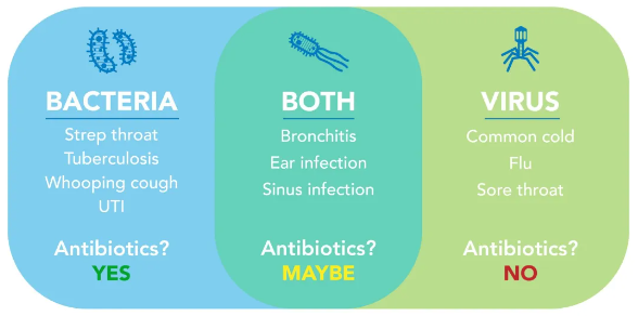 Causes of Swelling in the Testes