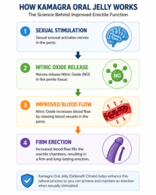 How Kamagra Oral Jelly Works