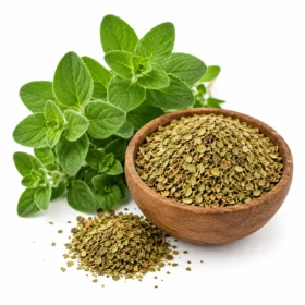 Oregano for Parasite