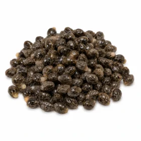 Papaya Seeds for Parasite