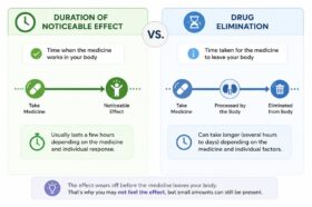 Duration of noticeable effect vs. Drug elimination