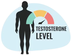 Testosterone Levels