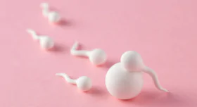 Ejaculation