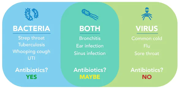 Causes of Swelling in the Testes